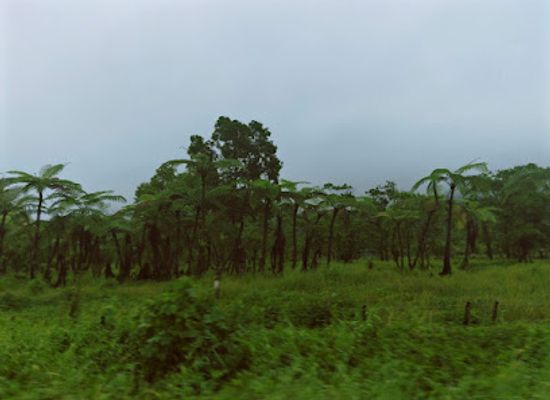 samoa/lalomanu/attraction/uafato-tiavea-conservation-zone