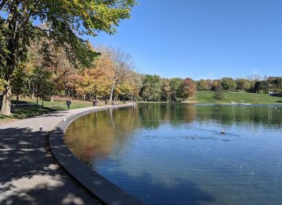 canada/montreal/attraction/mount-royal-park