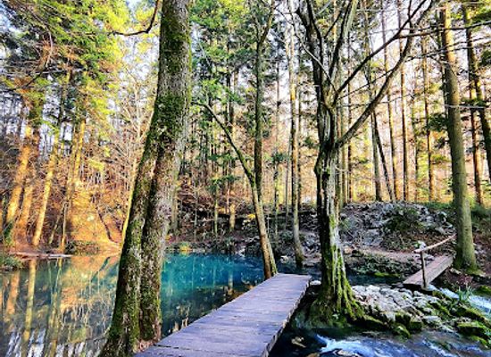 romania/cheile-nerei-national-park/attraction/podul-beiului