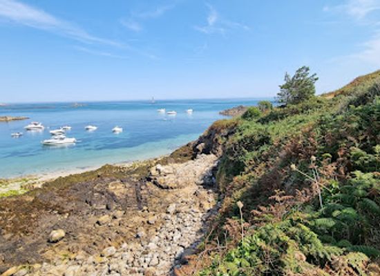 guernsey/herm/attraction/shell-beach