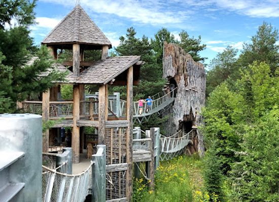 new-york/lake-placid/attraction/the-wild-center