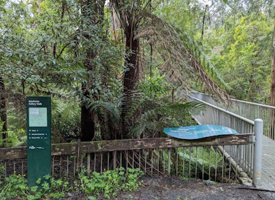 australia/mallee/attraction/rainforest-gallery