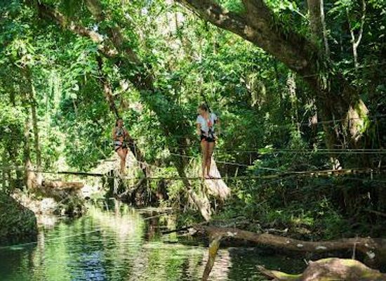 vanuatu/port-vila/attraction/eden-on-the-river