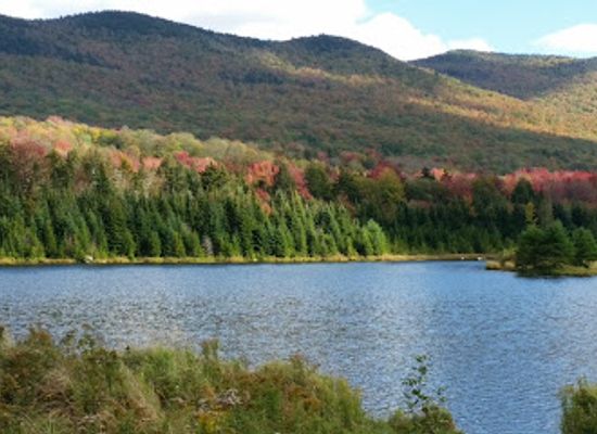 vermont/sugarbush-resort/attraction/blueberry-lake