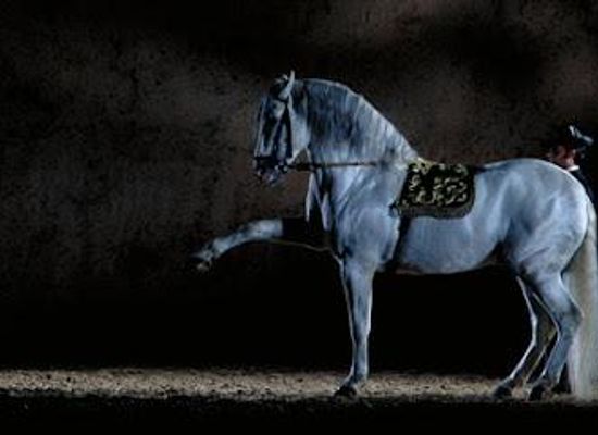 spain/andalusia/attraction/royal-andalusian-school-of-equestrian-art