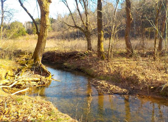 kentucky/cumberland-plateau/attraction/shopville-community-park