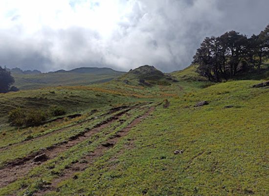 india/uttarakhand/attraction/auli-trekking-route-point-4
