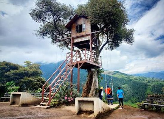 ecuador/ambato/attraction/la-casa-del-arbol