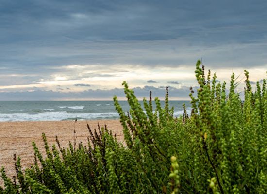 florida/first-coast/attraction/mickler-beach