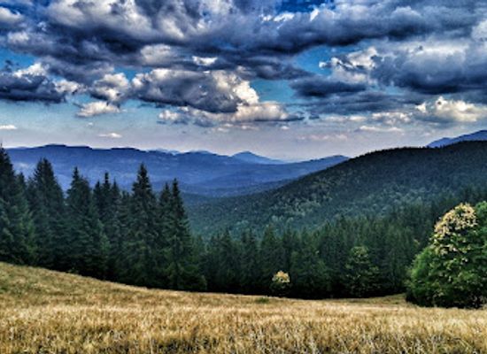 ukraine/vorokhta/attraction/Polonina-Kichera
