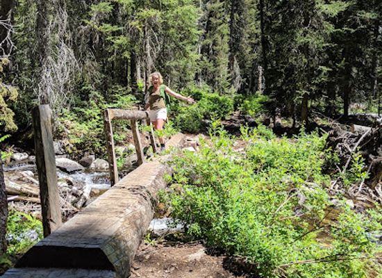 montana/bitterroot-national-forest/attraction/camas-creek-trailhead
