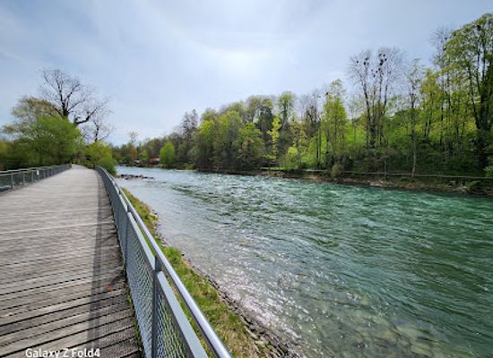 switzerland/bern/kirchenfeld-schosshalde/attraction/zoo-bern