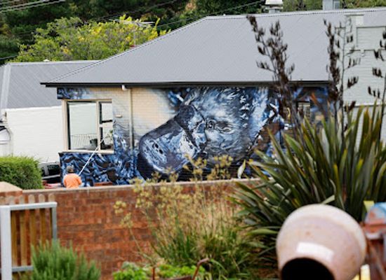 australia/hobart/attraction/hobart-rivulet-platypus-mural