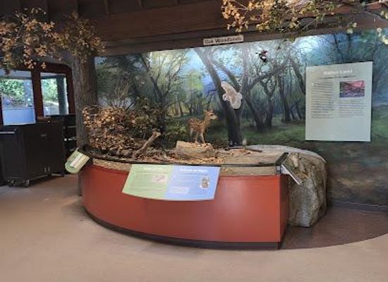california/santa-clarita/attraction/placerita-canyon-nature-center