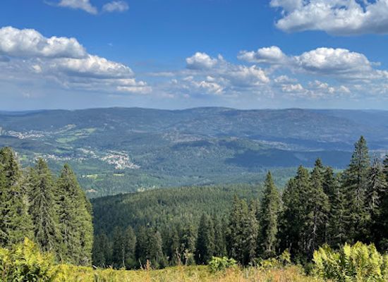 germany/upper-palatinate/attraction/riesloch-wasserfalle