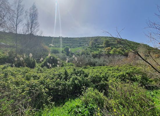 jordan/eastern-desert/attraction/ein-al-baridah