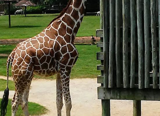 alabama/montgomery/attraction/mann-wildlife-learning-museum