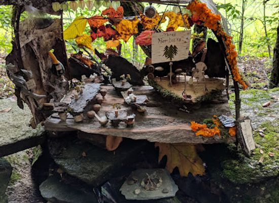 vermont/windham-county/attraction/the-nature-museum
