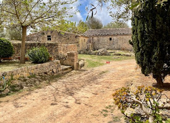 spain/mallorca/attraction/cases-de-son-real