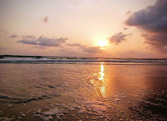 india/goa-beaches/attraction/majorda-beach