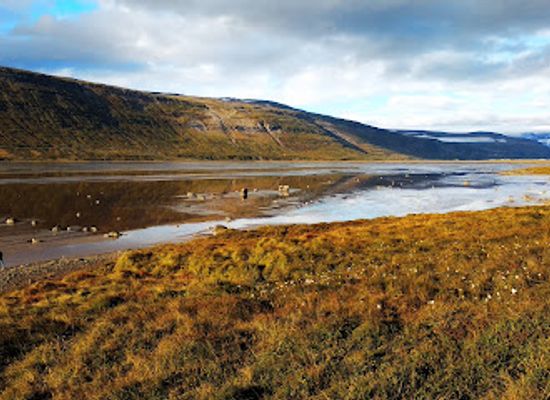 iceland/hornstrandir-nature-reserve/attraction/drangajokull-utsynisstaour