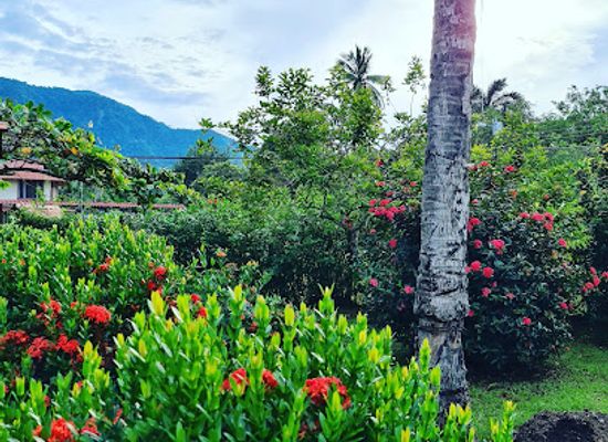 costa-rica/osa-peninsula/attraction/parque-de-las-esferas