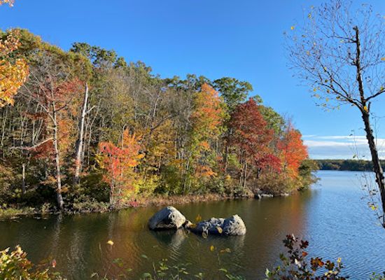 rhode-island/blackstone-valley/attraction/lincoln-woods-state-park
