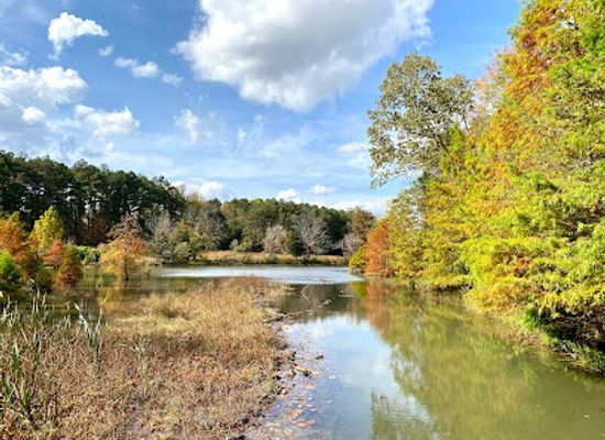 kentucky/bernheim-arboretum-and-research-forest/attraction/bernheim-forest