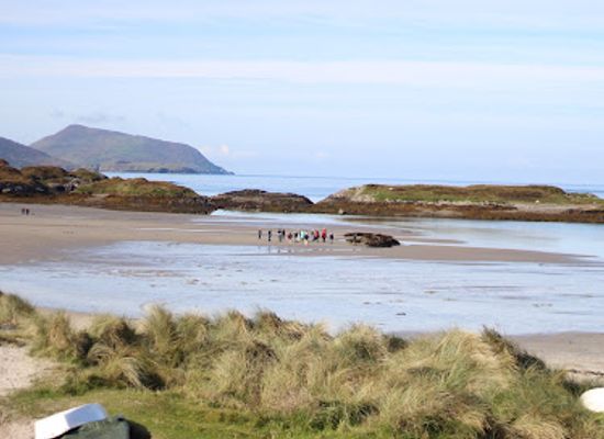 ireland/county-kerry/attraction/atlantic-irish-seaweed