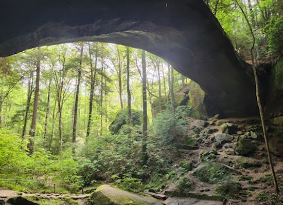alabama/bankhead-national-forest/attraction/natural-bridge-park