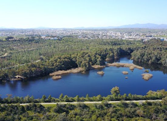 cyprus/nicosia-district/attraction/athalassa-national-forest-park