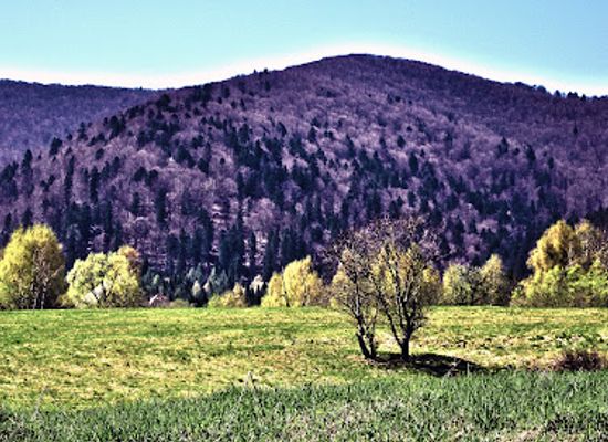 poland/bieszczady-mountains/attraction/bieszczady-forest-railway