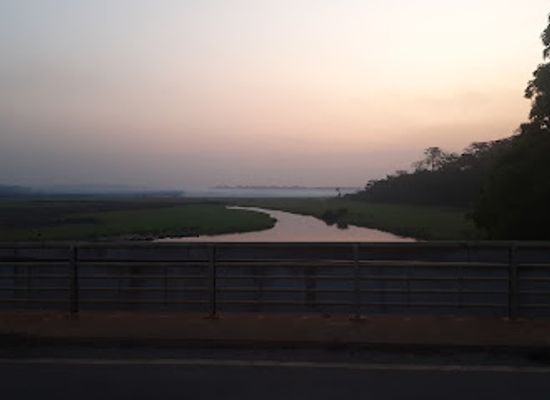 cameroon/dja-faunal-reserve/attraction/pont-du-nyong-ayos