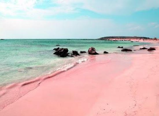 the-bahamas/harbour-island/attraction/pink-sands-beach