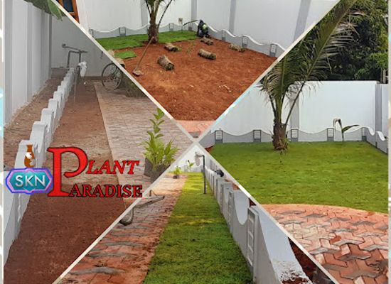 sri-lanka/jaffna-peninsula/attraction/green-park
