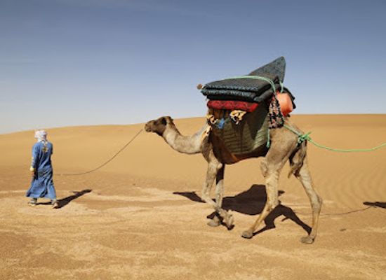 morocco/haouz/attraction/abdelhadi-elmoustahli-travel-guide-agent-morocco