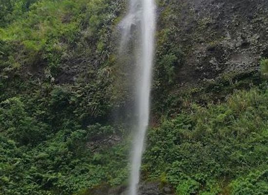 fiji/labasa/attraction/koroyanitu-national-park