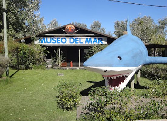 uruguay/aigua/attraction/museo-del-mar