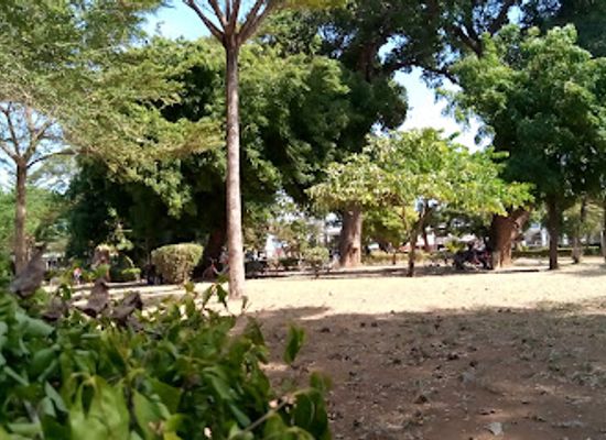 tanzania/tanga/attraction/forodhani