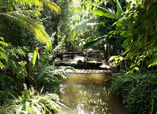 spain/costa-brava/attraction/butterfly-park-empuriabrava