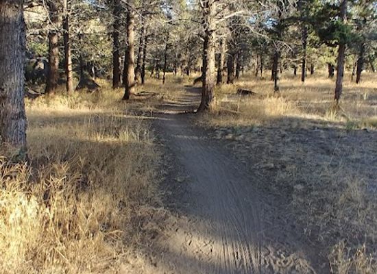 oregon/jefferson-county/attraction/dry-canyon-park-trail-system