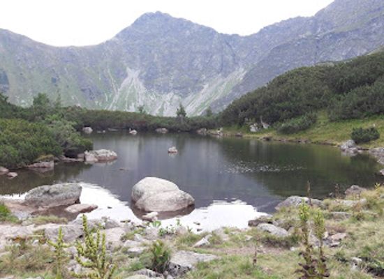 slovakia/tatras/attraction/rohacsky-vodopad