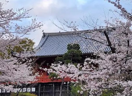 japan/tokyo/attraction/ueno-park