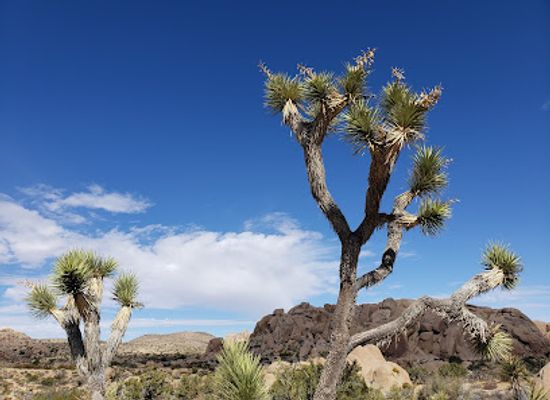california/southern-california/attraction/skull-rock-trail