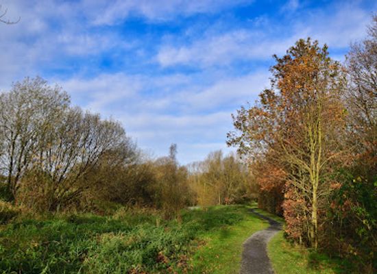 united-kingdom/tyrone/attraction/oxford-island-nature-reserve