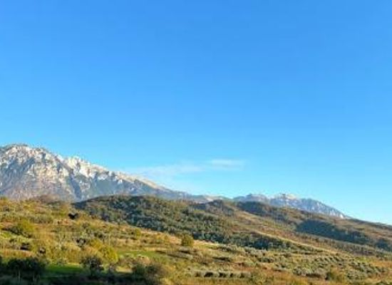albania/patos/attraction/alpeta-agritourism-winery-alpeta-agroturizem