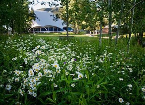 colorado/aspen/attraction/aspen-music-festival-and-school