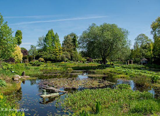 netherlands/overijssel/attraction/pond-gardens-ada-hofman