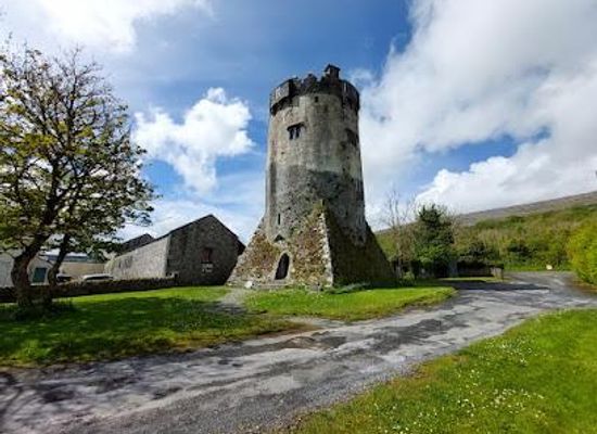 ireland/county-clare/attraction/newtown-castle