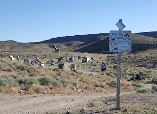 nevada/northern-nevada/attraction/the-international-car-forest